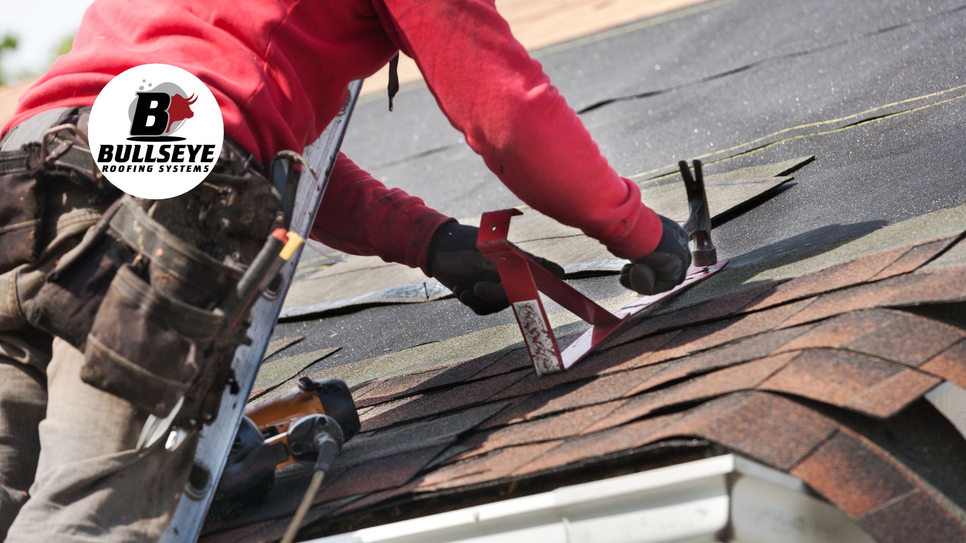 top rated roofers in my area